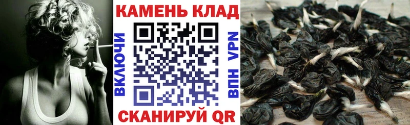 нарко площадка официальный сайт  Вязники  ГАШ AMNESIA HAZE 