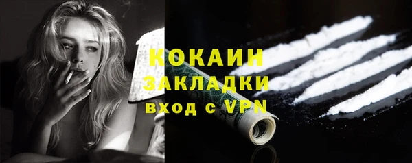 хмурый Арсеньев