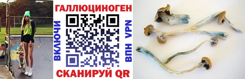 Галлюциногенные грибы прущие грибы где найти Вязники